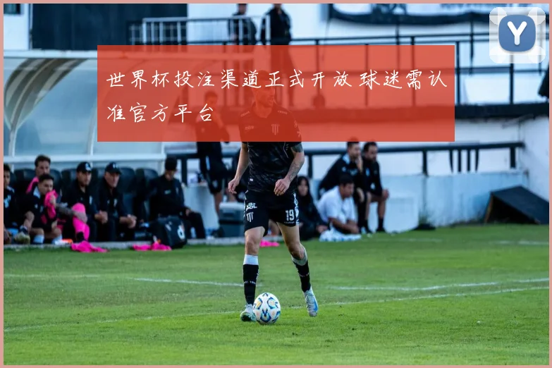 世界杯投注渠道正式开放 球迷需认准官方平台