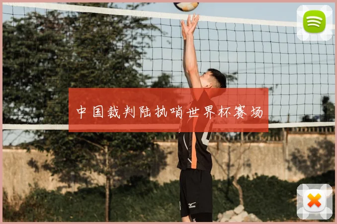 中国裁判陆执哨世界杯赛场